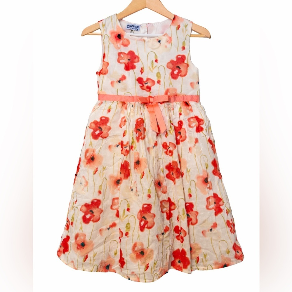 Blueberi Boulevard Girls Floral Party Dress Poppy Print Ribbon Waist Size 6X